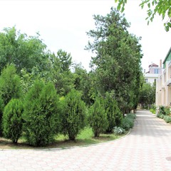 Пансионат Астра-центр, Евпатория, Крым