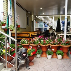 Гостиница Магнат, Лермонтово, Краснодарский край