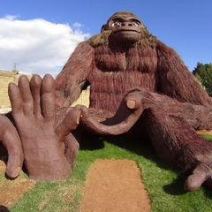 Отель Нованофф / Novahoff, Московская область