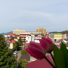 Гостиница Идиллия, Сочи, Краснодарский край