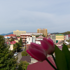 Гостиница Идиллия, Сочи, Краснодарский край