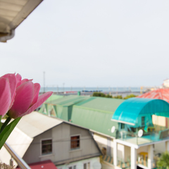 Гостиница Идиллия, Сочи, Краснодарский край