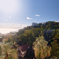 Отель Арт-отель, Хоста, Краснодарский край