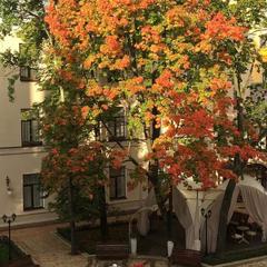 Отель Особняк А. П. Брюллова, Санкт-Петербург, Ленинградская область