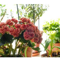 Отель Шевченко, Санкт-Петербург, Ленинградская область