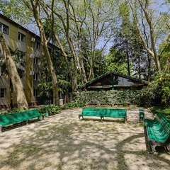 Отель Orchestra Crystal Sochi Resort , Хоста, Краснодарский край