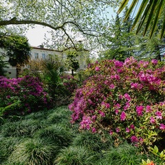 Отель Orchestra Crystal Sochi Resort , Хоста, Краснодарский край