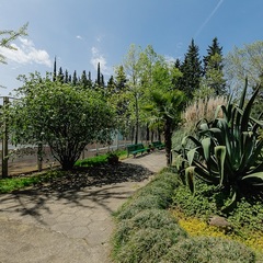 Отель Orchestra Crystal Sochi Resort , Хоста, Краснодарский край