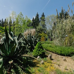 Отель Orchestra Crystal Sochi Resort , Хоста, Краснодарский край