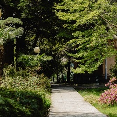 Отель Orchestra Crystal Sochi Resort , Хоста, Краснодарский край