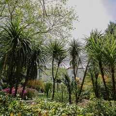 Отель Orchestra Crystal Sochi Resort , Хоста, Краснодарский край