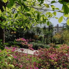 Отель Orchestra Crystal Sochi Resort , Хоста, Краснодарский край