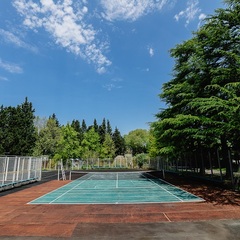 Отель Orchestra Crystal Sochi Resort , Хоста, Краснодарский край