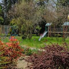 Отель Orchestra Crystal Sochi Resort , Хоста, Краснодарский край