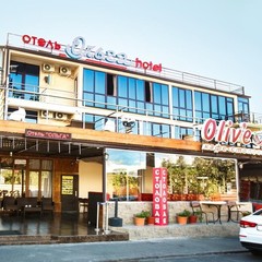 Отель Ольга, Сочи, Краснодарский край