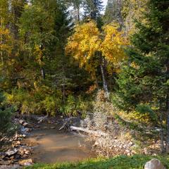 Загородный комплекс Лесная сказка, Белокуриха, Алтайский край