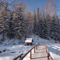 Загородный комплекс Лесная сказка, Белокуриха, Алтайский край
