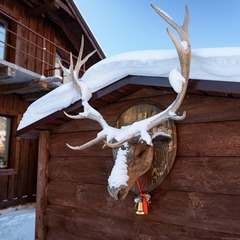 Загородный комплекс Лесная сказка, Белокуриха, Алтайский край