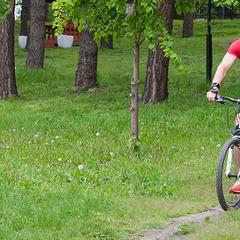 Загородный комплекс Лесная сказка, Белокуриха, Алтайский край