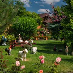 Отель Золотая Бухта, Анапа, Краснодарский край