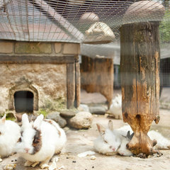 Спа-отель Грейс Арли, Сочи, Краснодарский край