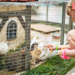 Спа-отель Грейс Арли, Сочи, Краснодарский край