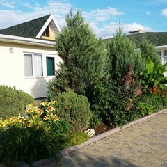 Гостевой дом Виктория, Николаевка, Крым