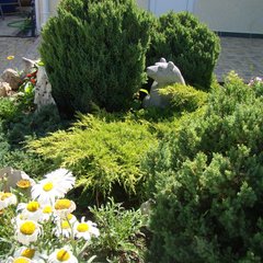 Гостевой дом Виктория, Николаевка, Крым