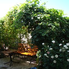 Гостевой дом Виктория, Николаевка, Крым