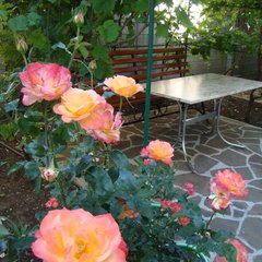 Гостевой дом Виктория, Николаевка, Крым