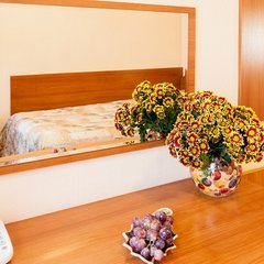 Гостиница Электрон, Москва, Московская область