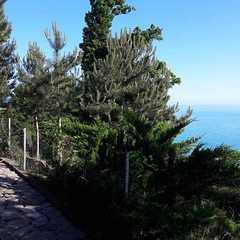 Парк-отель Небуг, Небуг, Краснодарский край