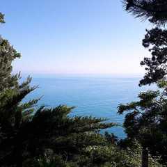 Парк-отель Небуг, Небуг, Краснодарский край