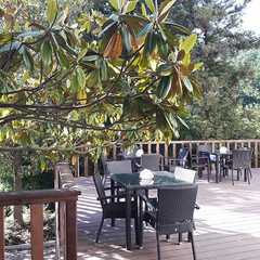 Парк-отель Небуг, Небуг, Краснодарский край