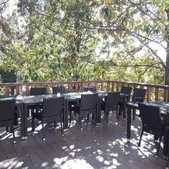 Парк-отель Небуг, Небуг, Краснодарский край