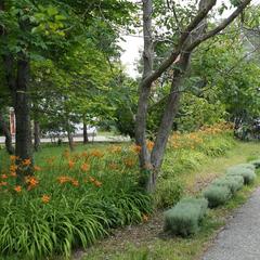 База отдыха Взлет, Геленджик, Краснодарский край