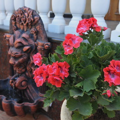 Вилла Золотой Лев, Феодосия, Крым