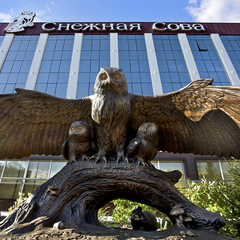 Гостиница Снежная сова, Красноярск, Красноярский край