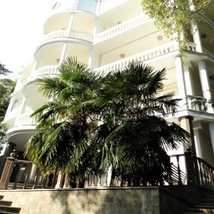 Отель Усадьба Прованс, Крым