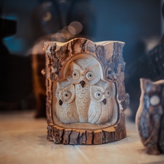 Гостиница Снежная сова, Красноярск, Красноярский край