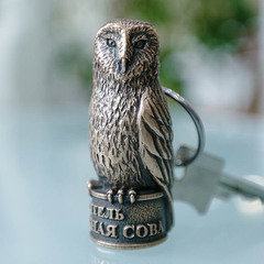 Гостиница Снежная сова, Красноярск, Красноярский край