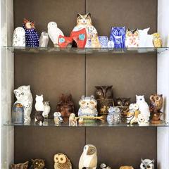 Гостиница Снежная сова, Красноярск, Красноярский край