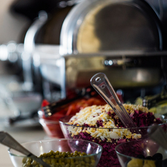 Отель Москоу Холидэй / Moscow Holiday Hotel, Москва, Московская область