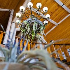 Гостевой дом Медвежий угол, Суздаль, Владимирская область