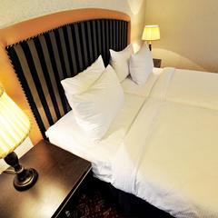 Отель Москоу Холидэй / Moscow Holiday Hotel, Москва, Московская область