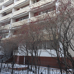 Гостиница Кузьминки, Москва, Московская область