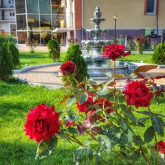 Гостиница Арпат, Новофедоровка, Крым