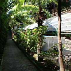 Гостевой дом Эдельвейс Адлер, Адлер, Краснодарский край