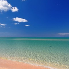 Отель Оазис, Штормовое, Крым