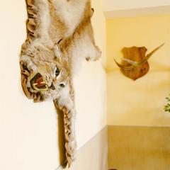 Гостиница Fisch Herberg Сельдь Царский Полсол, Переславль-Залесский, Ярославская область